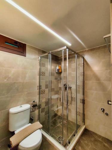 a bathroom with a toilet and a shower at The Stone House in Kalabaka