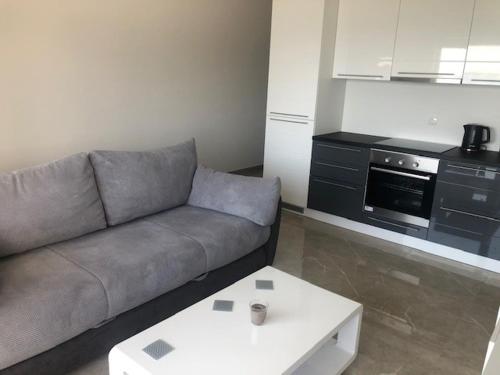 Kuchyňa alebo kuchynka v ubytovaní Beachfront Apartment Vir