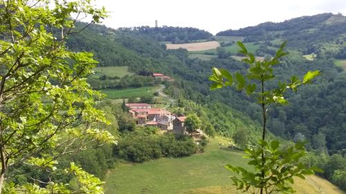a house in the middle of a green valley at Agriturismo Borghetto la radice in Roccaverano