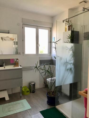 une salle de bain avec un lavabo et un miroir dans l'établissement Maison au bord de l'étang de Thau- Sète, à Sète
