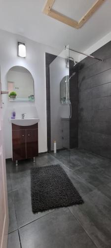 bagno con doccia, lavandino e specchio di CERVO Mountain House a Nehoiu