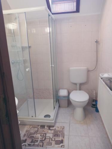 ハイドゥソボスローにあるOlga Apartmanházのバスルーム(シャワー、トイレ付)