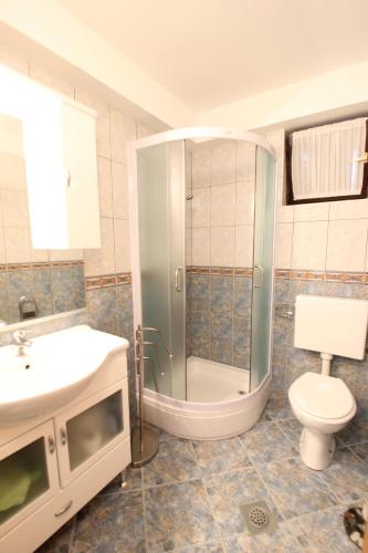 a bathroom with a shower and a toilet and a sink at ANA A2, 60 m2 in Novigrad Istria