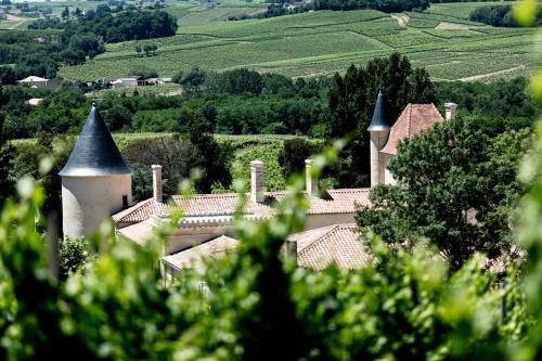 Château Toulouse-Lautrec – Photos 2