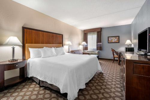 a hotel room with a large bed and a television at Econo Lodge Inn & Suites in Lafayette