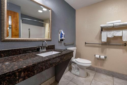 Econo Lodge Inn & Suites tesisinde bir banyo