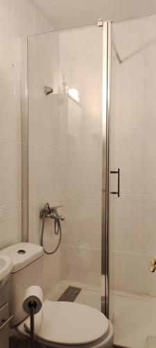 a bathroom with a shower with a toilet and a sink at Hostal Romero in Madrid