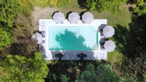 una vista aérea de una piscina en un bosque en Borgo Il Poeta en Monte Castelli