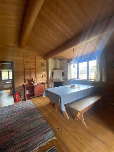 a large wooden room with a large blue table in it at Morgedal Camping in Morgedal