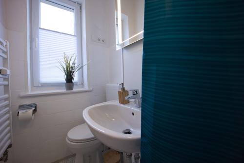 Foto HejU - Parking - Kitchen - Netflix - Kingsize Bett 3