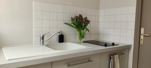 - un lavabo blanc avec un vase orné de fleurs dans l'établissement Bien agencé, cosy et calme, joli petit appart!, à Tours