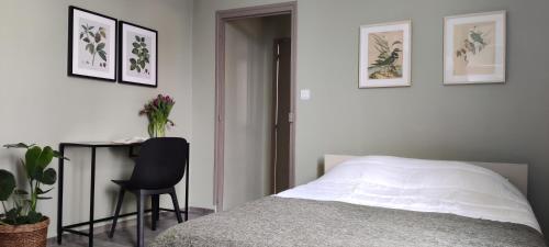 une chambre avec un lit, un bureau et une chaise dans l'établissement Bien agencé, cosy et calme, joli petit appart!, à Tours