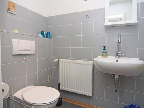 a bathroom with a toilet and a sink at Ferienwohnung am Prüßsee in Güster in Güster