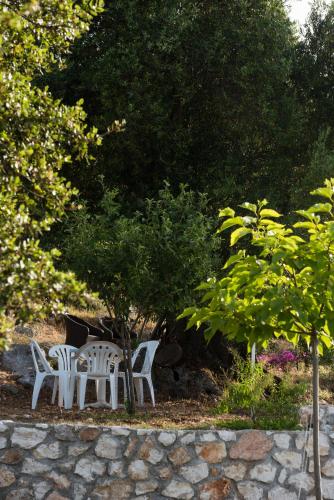 two white chairs and a tree in a garden at MAKRIS HOUSE in Ayia Evfimia