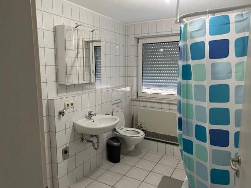 a bathroom with a sink and a toilet at Victoria Appartement in Kappel-Grafenhausen