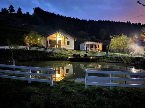 une maison avec un bateau dans une rivière la nuit dans l'établissement NOIA Caban, à Piatra Neamţ