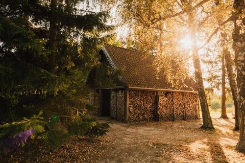a cabin in the woods with the sun shining through the trees at Prywatna Wieś in Mörken