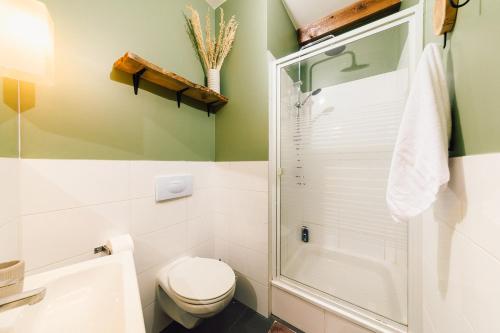 a bathroom with a toilet and a shower at Prywatna Wieś in Mörken