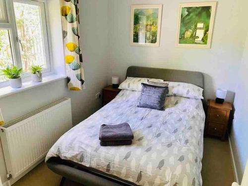 1 dormitorio con 1 cama con 2 almohadas en Quiet coastal cottage, perfect for walkers due to its natural location en Lymington