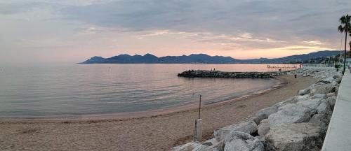 Beau meublé 3 pièces 60 m² Cannes Le Suquet photo 15