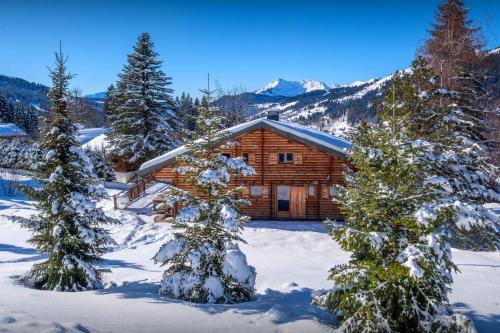 a log cabin in the snow with trees at Chalet Joux Verte - OVO Network in Les Gets