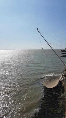 a boat sitting on the side of the ocean at Les Mésanges in Royan