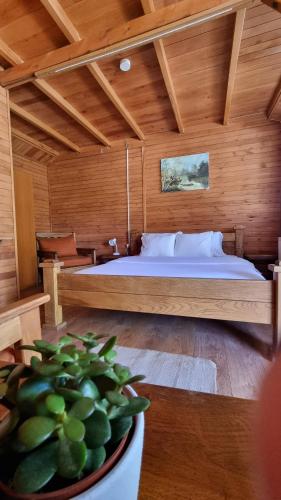 a bedroom with a bed and a potted plant at Carev konak in Ždrelo