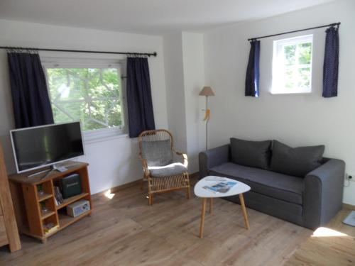 a living room with a couch and a tv at Tiny House in Thermalbad Wiesenbad