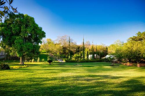 a large field of grass with trees in the background at Casa Santa Teresita - Cabaña tipo glampling in Sanarate