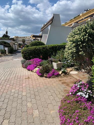 un jardin avec des fleurs violettes et blanches à côté d'un bâtiment dans l'établissement Studio port nature 2, au Cap d'Agde