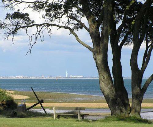 a park bench under a tree next to the ocean at Elmside, The Luxury New Forest Retreat in Southampton