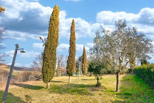 a row of cypress trees in a park at Verzure in Montingegnoli