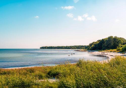 Naturlandskabet i nærheden af hotellet
