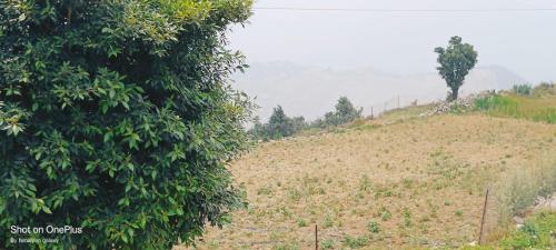 Gallery image of Hotel Himalayan Galaxy in Chakrāta
