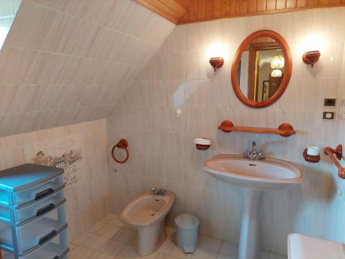 a bathroom with a sink and a toilet and a mirror at Holiday Home by Roscoff Beach and Horse Racing in Plouescat