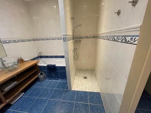 a bathroom with a shower and a sink and a tub at LA FERME DE VILLENEUVE in Saint-Antoine