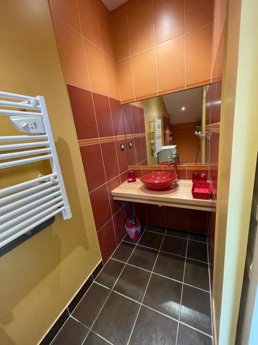 La salle de bains est pourvue d'un lavabo et d'un bol rouge. dans l'établissement LA FERME DE VILLENEUVE, à Saint-Antoine