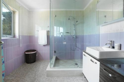 uma casa de banho com uma cabina de duche em vidro e um lavatório. em Villa Athena Sint Maarten em Little Bay