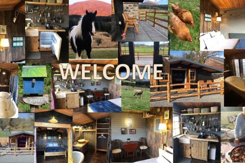 un collage de fotos de un caballo y una casa en Luxury Cabin in the Magical Galloway Forest Park en Newton Stewart