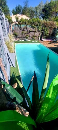 a swimming pool with a bench and a plant next to it at Villa Clea in Saint-Paul-lez-Durance