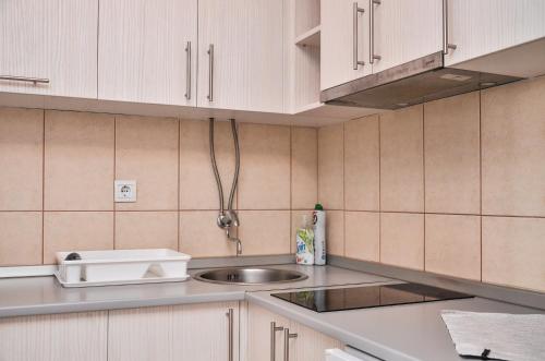 Kuchyň nebo kuchyňský kout v ubytování Helena Apartments