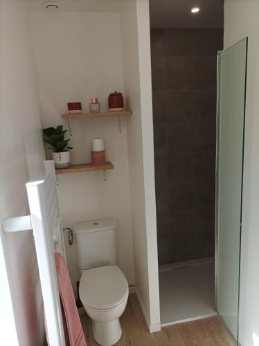 a bathroom with a toilet and a shower at Gites les Pourquoi Pas - Résidence de Tourisme DSV Bayeux in Bayeux
