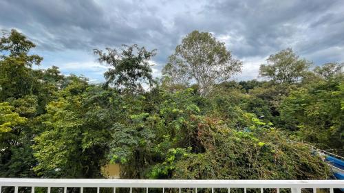 a view of a forest of trees on a cloudy day at Verde Vale Hotel in Videira