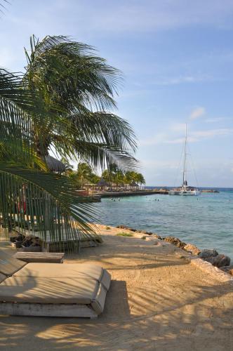 a beach with a palm tree and a boat in the water at Hibiscus Beach House in Willemstad