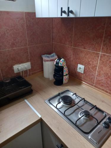 a kitchen counter with a stove top in a kitchen at Stan u maslinama in Podgorica