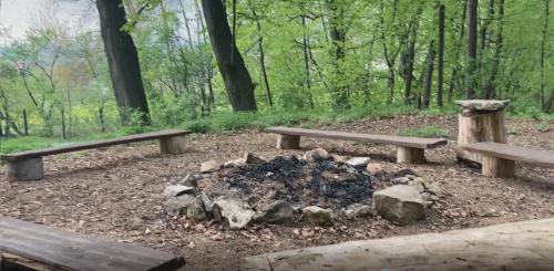 two benches and a fire pit in a park at Sola Gratia in Bystřice pod Hostýnem