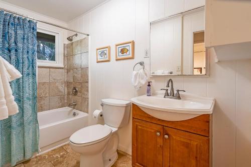 a bathroom with a toilet and a sink and a tub at Waimea Bay Garden Bunglaow in Haleiwa