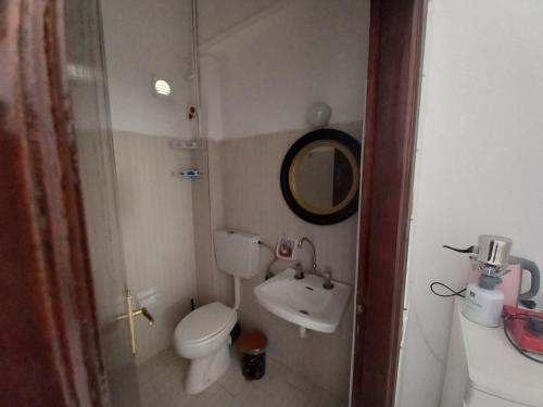 a small bathroom with a toilet and a sink at Psiloritis in Kalamaki Heraklion