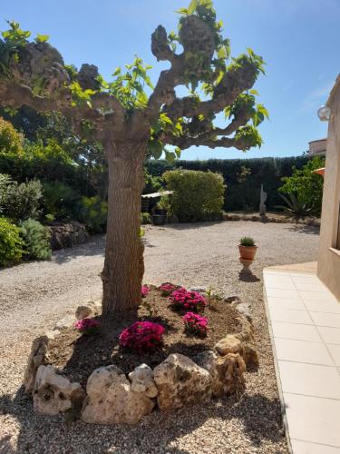 Gallery image of Gîte provençal indépendant avec piscine chauffée : LE SUY BIEN in Flayosc
