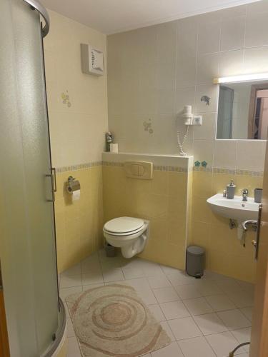 łazienka z toaletą i umywalką w obiekcie Apartma Moravske Toplice 16 w mieście Moravske Toplice